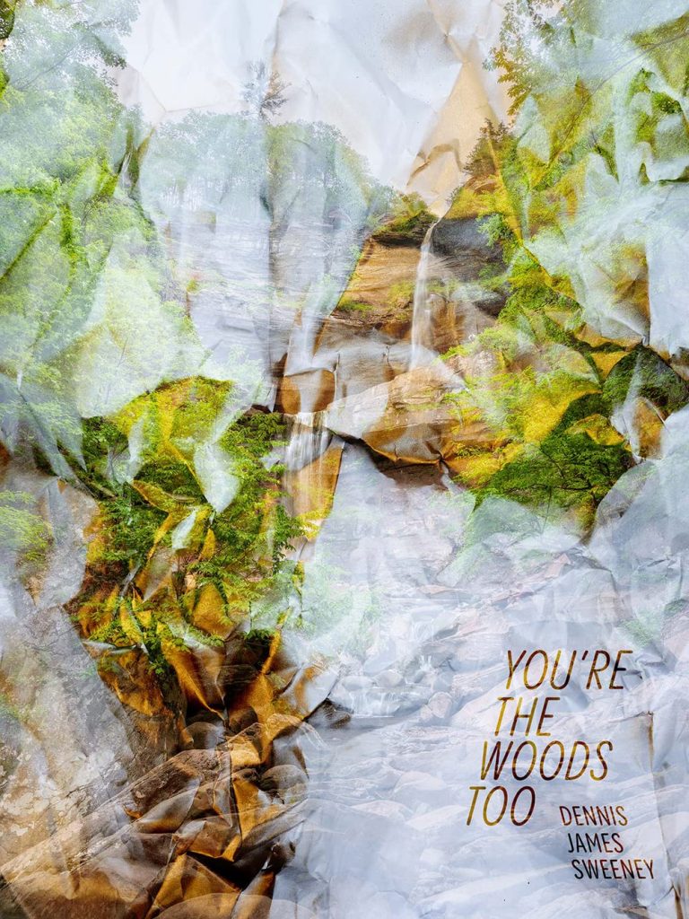Cover of "You're the Woods Too" by Dennis James Sweeney