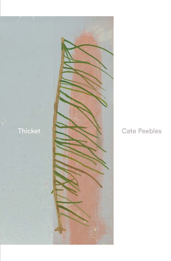 Cover image of Thicket