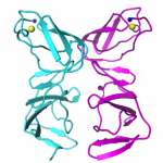 Protein map created by the author's parents